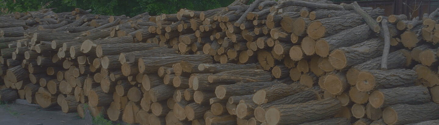 Категорія: <span>Пропозиція</span>