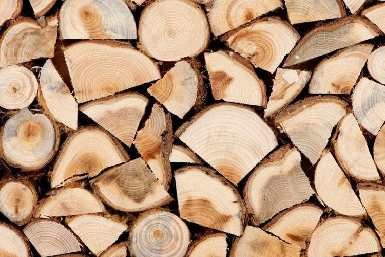 Дрова з граба