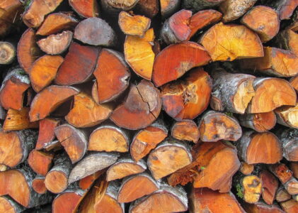 Дрова з вільхи