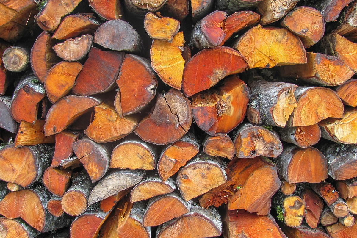 Дрова з вільхи